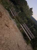 Hundeauslaufgebiet-Hundewiese Kelkheim Industriegebiet-Bild