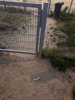 Hundeauslaufgebiet-Hundewiese Kelkheim Industriegebiet-Bild