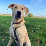 Ersteller:in Inga Profilbild