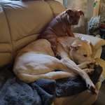 Ersteller:in Jennifer Profilbild