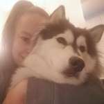 Ersteller:in Vanessa Profilbild