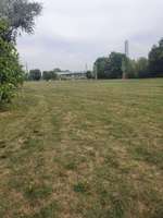 Hundeauslaufgebiet-Sindlinger Mainufer-Bild