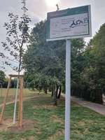 Hundeauslaufgebiet-Sindlinger Mainufer-Bild