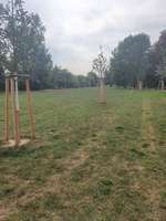 Hundeauslaufgebiet-Sindlinger Mainufer-Bild