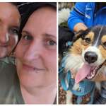 Ersteller:in Mandy Profilbild