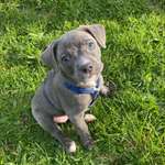 Ersteller:in Ina Profilbild