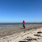 Ersteller:in Jasmin Profilbild