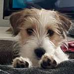 Ersteller:in Heiko Profilbild