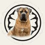 Ersteller:in Amo Profilbild