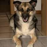 Ersteller:in Marion Profilbild