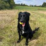 Ersteller:in Elena Profilbild