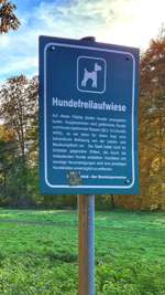 Hundeauslaufgebiet-Stadtwald-Bild
