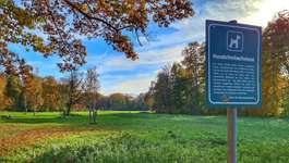 Hundeauslaufgebiet-Stadtwald-Bild