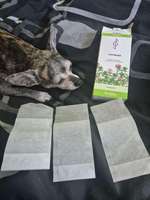 Teebeutelsuche-Beitrag-Bild