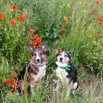 Ersteller:in Christina Profilbild