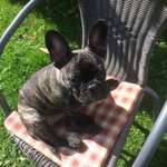 Ersteller:in Wilfried Profilbild