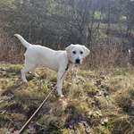 Ersteller:in Kathi Profilbild