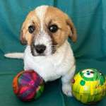 Ersteller:in Ramona Profilbild