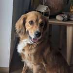 Ersteller:in Max Profilbild