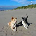 Ersteller:in Christian Profilbild