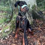 Ersteller:in Steffi Profilbild