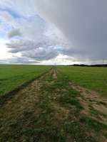 Hundeauslaufgebiet-Die Rörtherbach Runde-Bild