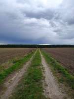 Hundeauslaufgebiet-Die Rörtherbach Runde-Bild