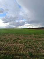 Hundeauslaufgebiet-Die Rörtherbach Runde-Bild