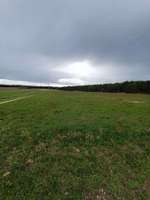 Hundeauslaufgebiet-Die Rörtherbach Runde-Bild