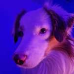 Ersteller:in Maria Profilbild