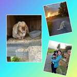 Ersteller:in Hannah Profilbild