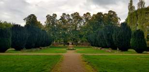 Hundeauslaufgebiet-Vorgebirgspark-Bild