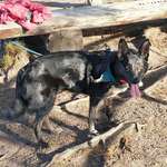 Ersteller:in Janine Profilbild