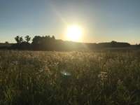 Hundeauslaufgebiet-Heubach-Böbingen-Bild