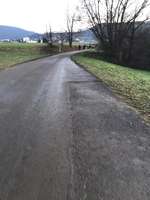 Hundeauslaufgebiet-Heubach-Böbingen-Bild