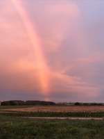 Hundeauslaufgebiet-Heubach-Böbingen-Bild