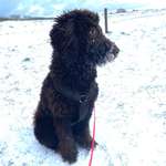 Ersteller:in Wiebke Profilbild