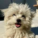 Ersteller:in Sabine Profilbild