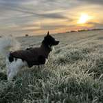 Ersteller:in Karina Profilbild