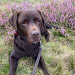 Ersteller:in Sandra Profilbild