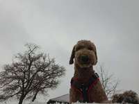 Verspielt-Beitrag-Bild