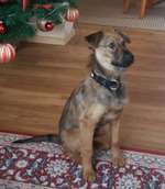 Ersteller:in Ben Profilbild