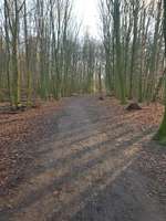 Hundeauslaufgebiet-Bömmerdelle-Bild