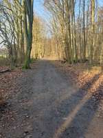 Hundeauslaufgebiet-Bömmerdelle-Bild