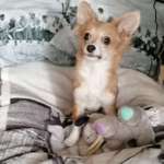 Ersteller:in Sandra Profilbild