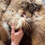 Ersteller:in Hannah Profilbild