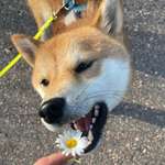 Ersteller:in Kristina Profilbild