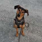 Ersteller:in Martha Profilbild