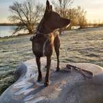 Ersteller:in Nic Profilbild