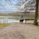 Ersteller:in Maggie Profilbild